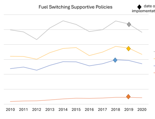 Measuring the Impact of Fuel Switching and Substitution Policies on Fossil Fuel Use